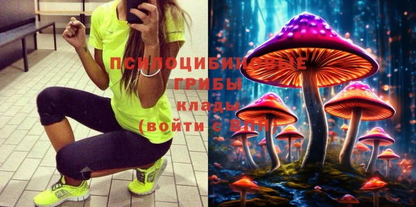 сатива Армянск