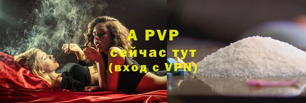сатива Армянск