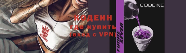 хмурый Арсеньев