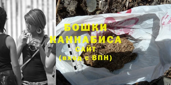 сатива Армянск