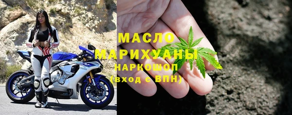 хмурый Арсеньев