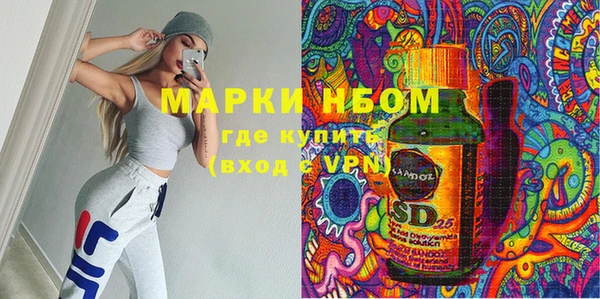 хмурый Арсеньев