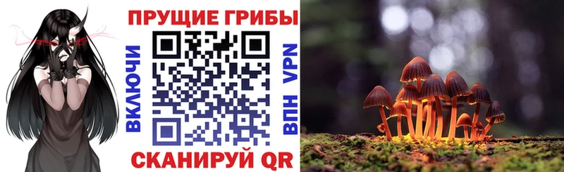 Псилоцибиновые грибы MAGIC MUSHROOMS  Краснодар 